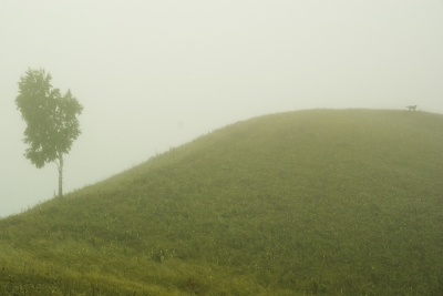 mountains_12