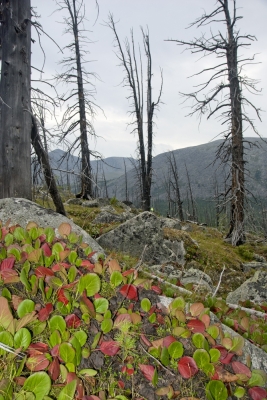 mountains_22